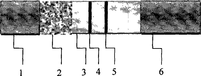 Sudan red 1 immunity-chromatography test paper detection method