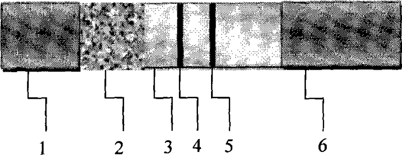 Sudan red 1 immunity-chromatography test paper detection method