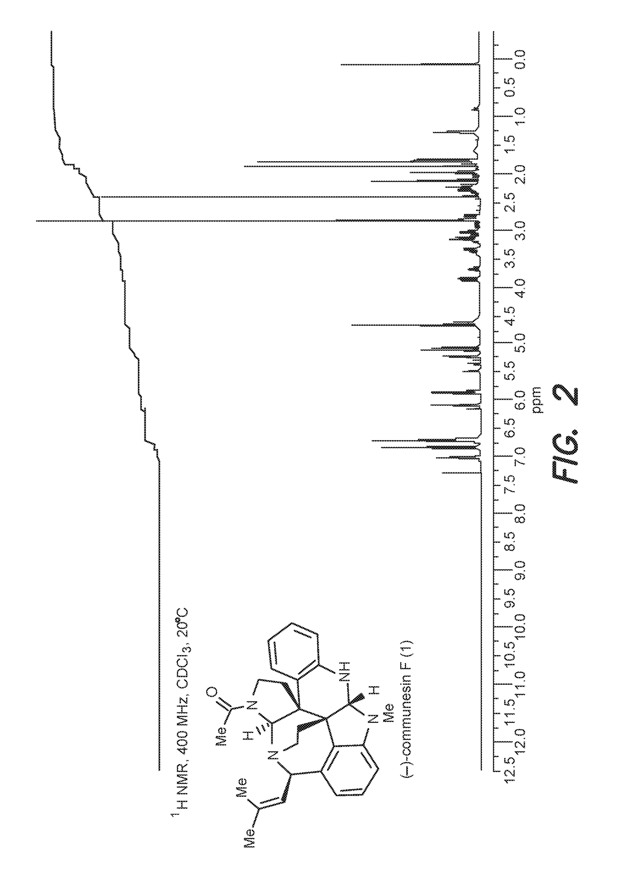 Convergent and enantioselective total synthesis of communesin analogs