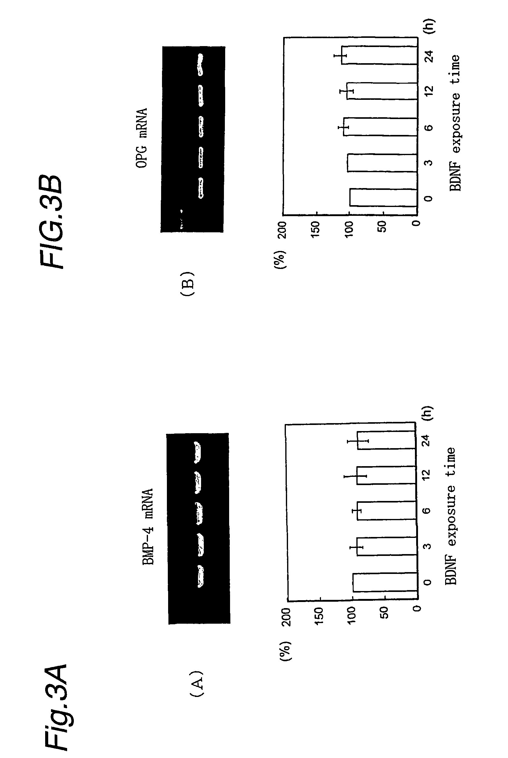 Therapeutic agent and therapeutic method for periodontal diseases and pulpal diseases