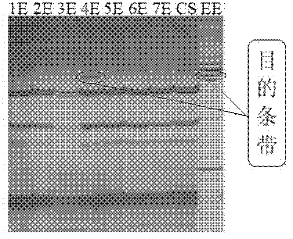 Specific mark of thinopyrum elongatum chromosome in wheat background and application thereof