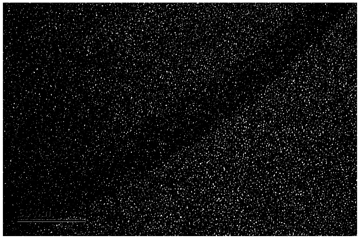 Histamine Detection Method of Fluorescence Resonance Energy Transfer Biosensor