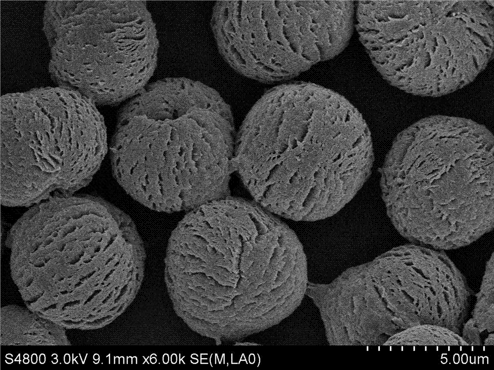 Negative plate of lithium ion capacitor and lithium ion capacitor using the negative plate