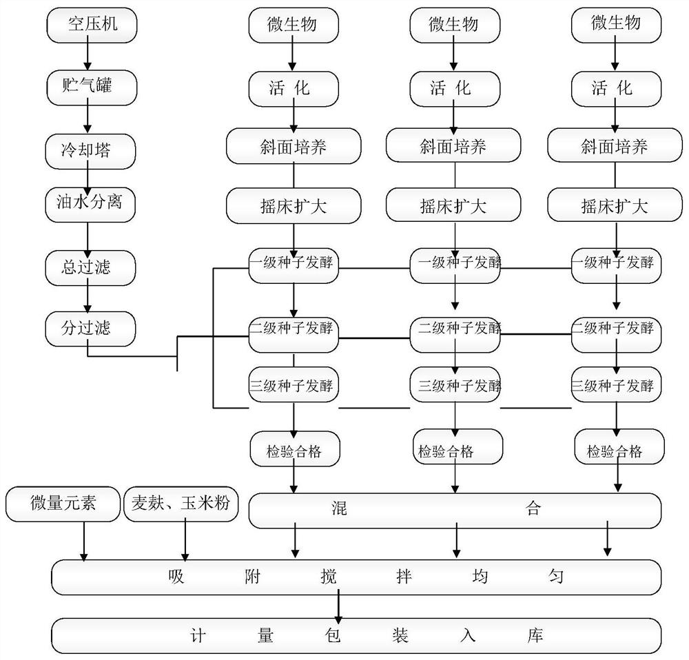 Compound microbial agent for reducing aspergillus flavus infection and pollution of grain and oil crops as well as preparation method and application of compound microbial agent