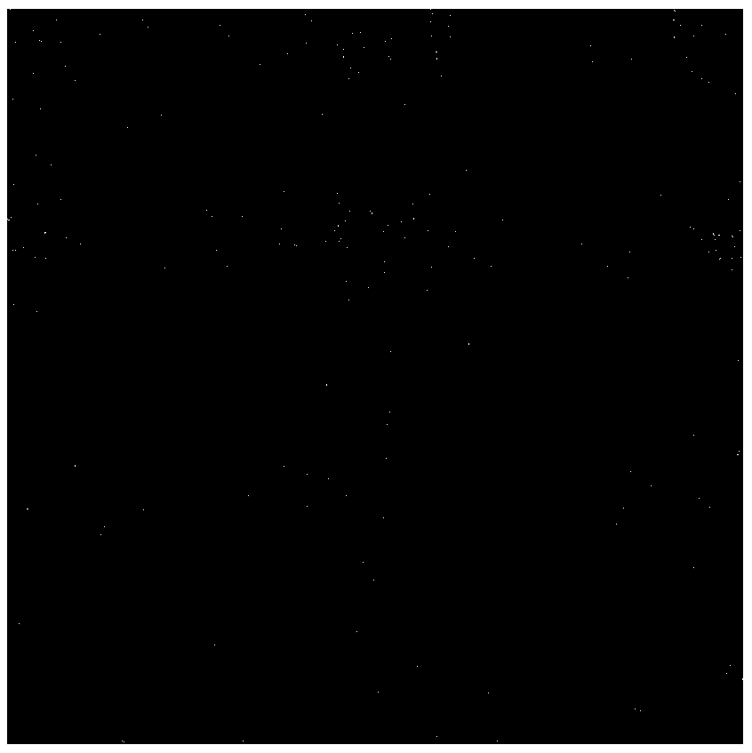 Discontinuous fringe filtering method based on shear wave transform and machine learning