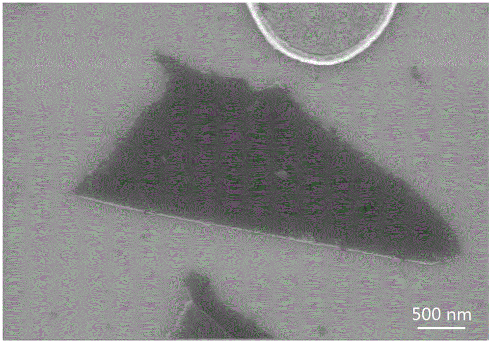 Liquid-phase stripping preparation method of single-layer or few-layer phosphaalkene