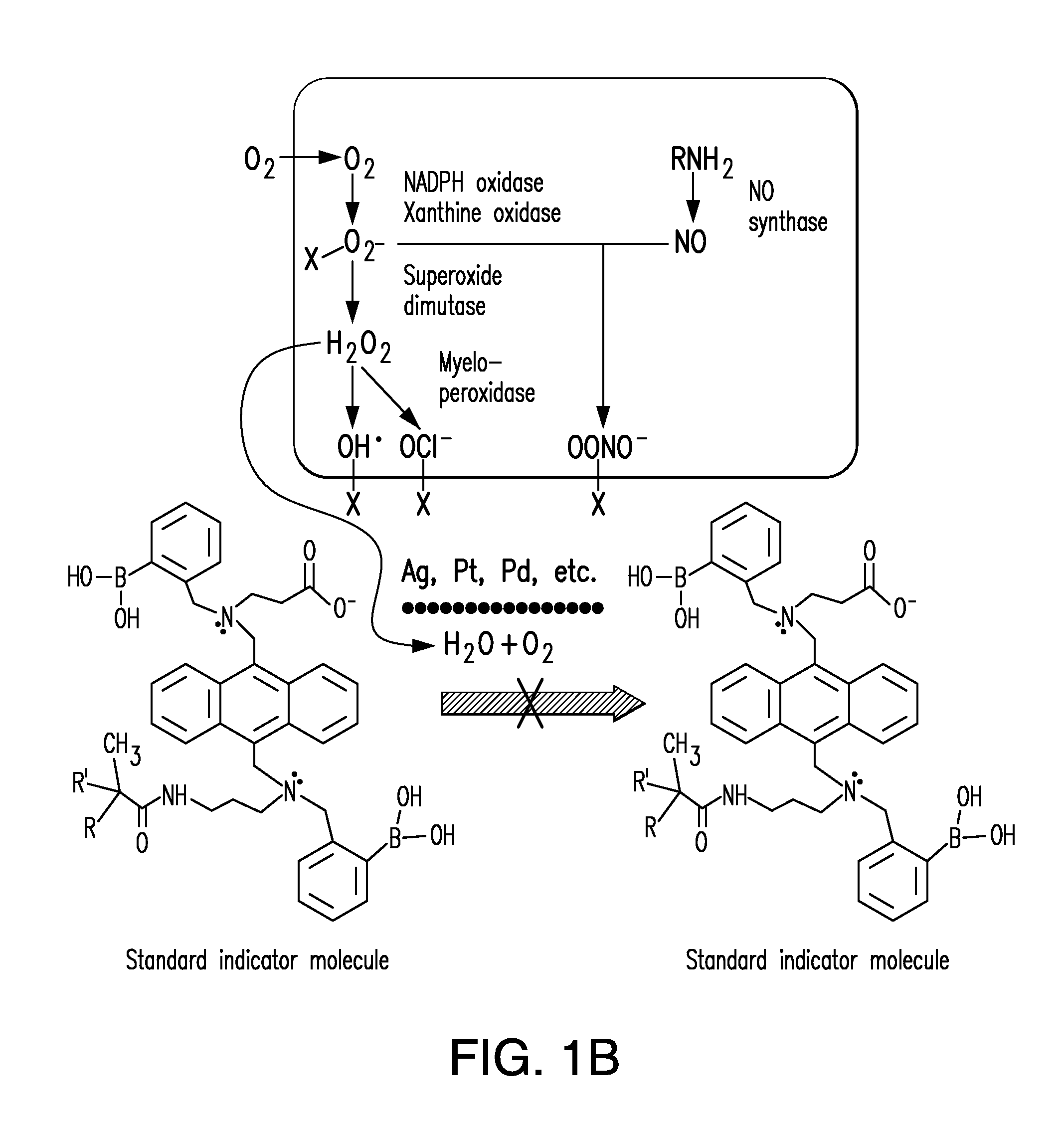 Integrated catalytic protection of oxidation sensitive materials