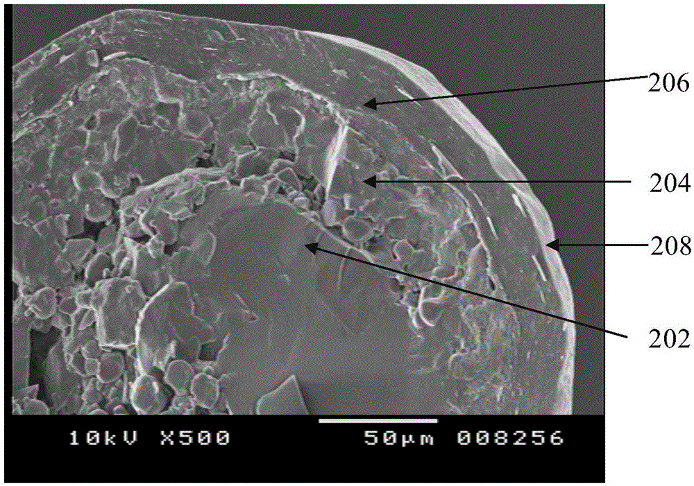 Composition of oily, pungent and odoriferous substances and process of preparation thereof