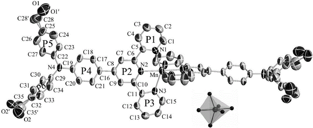 A triphenylamine terpyridine manganese complex having double functions including two-photon development and magnetic resonance development and a synthetic method thereof