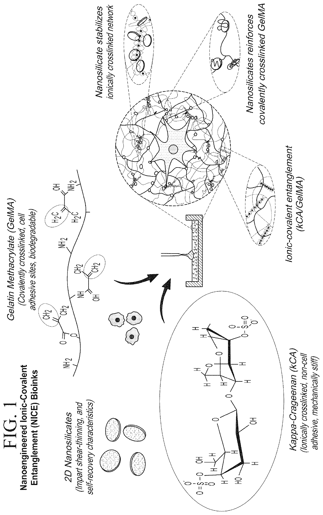 Nanocomposite ionic-covalent entanglement reinforcement mechanism and hydrogel