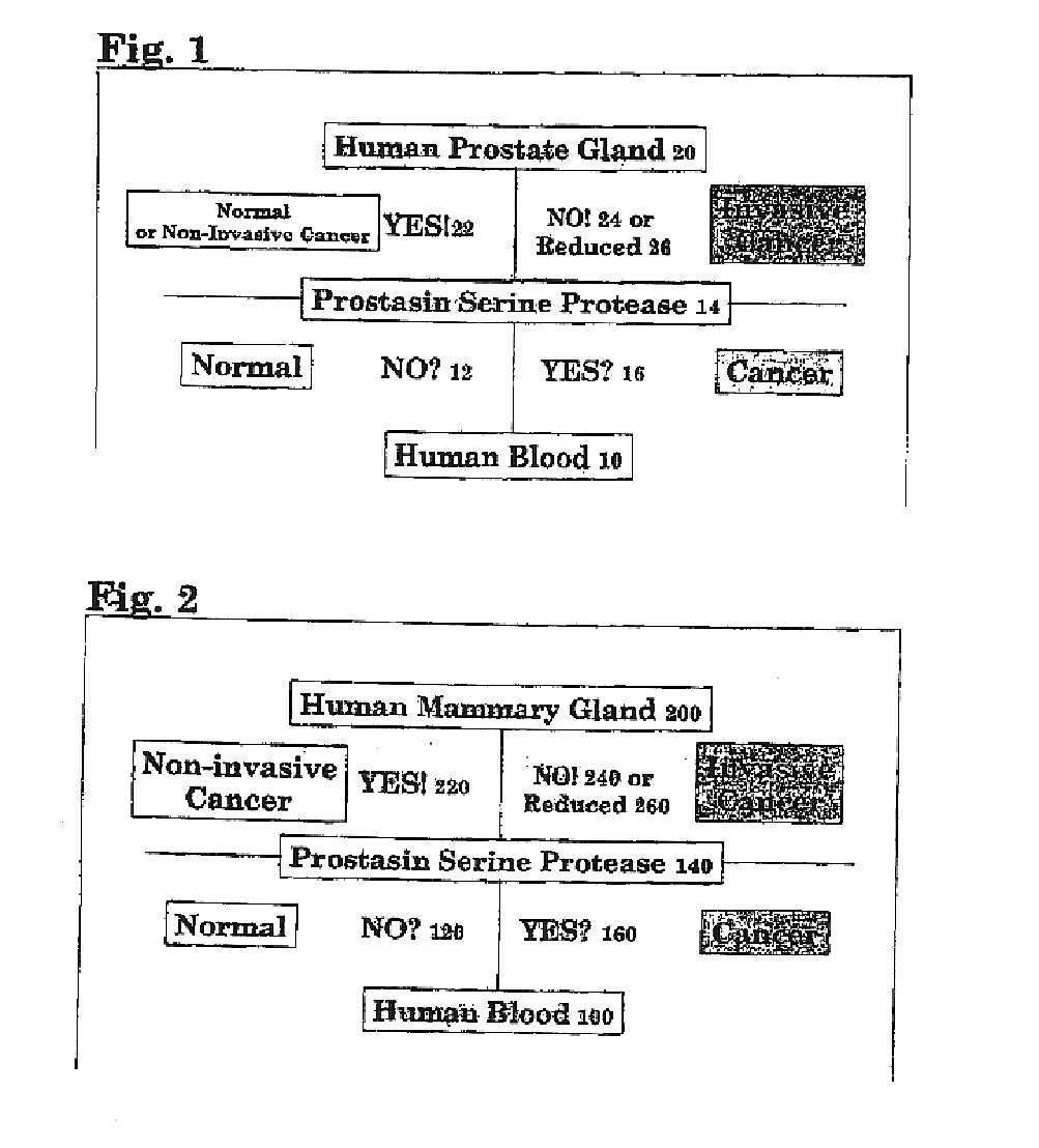 Method of identifying and treating invasive carcinomas