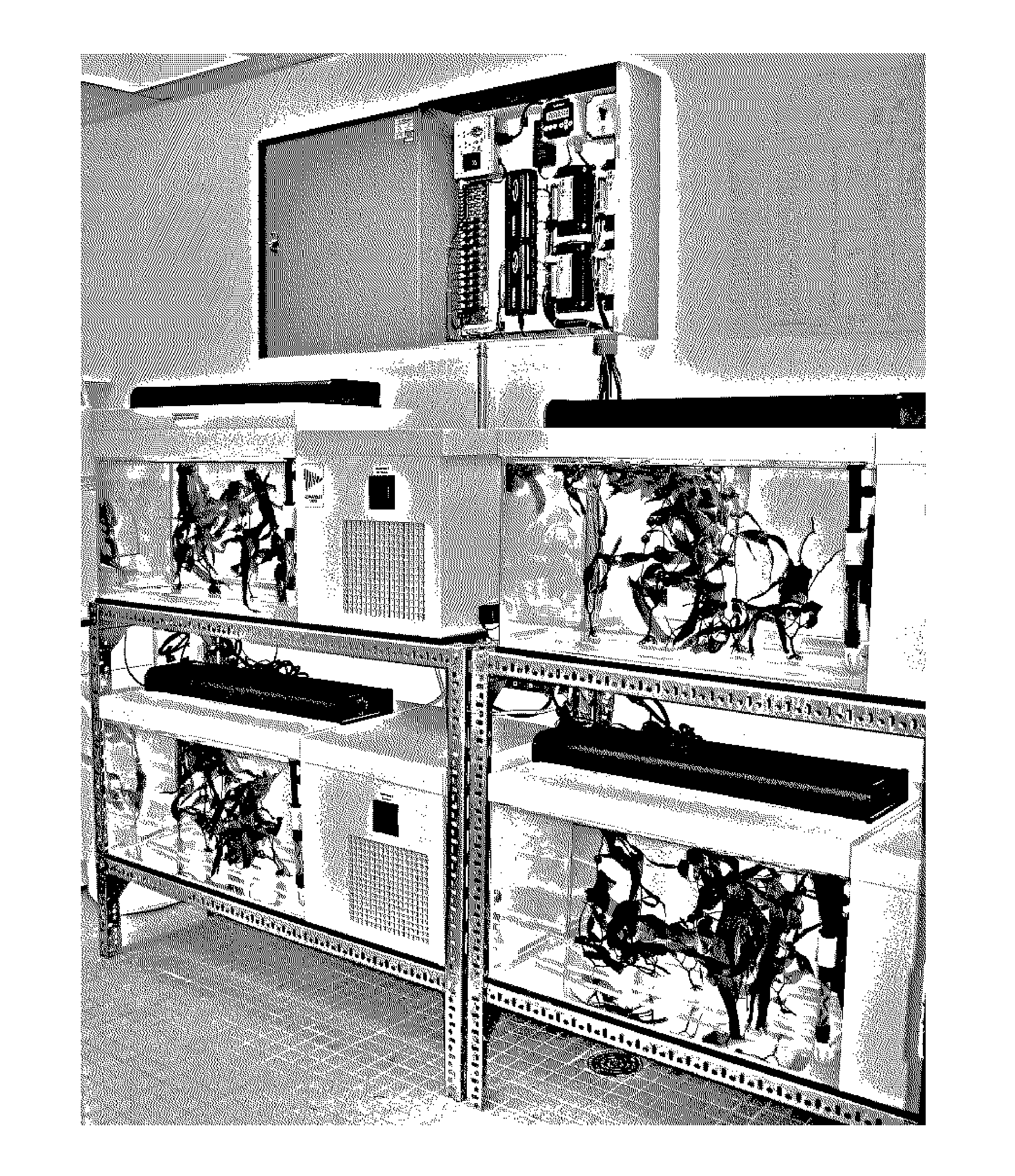 Bioactive fractions from stress-induced photosynthetic organisms and methods of their manufacture and use