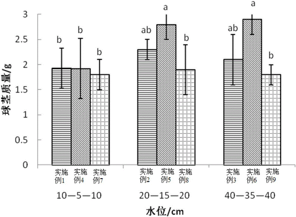 Method for recovering three-river bulrush wet land from degeneration saline-alkali soil in west of Jilin