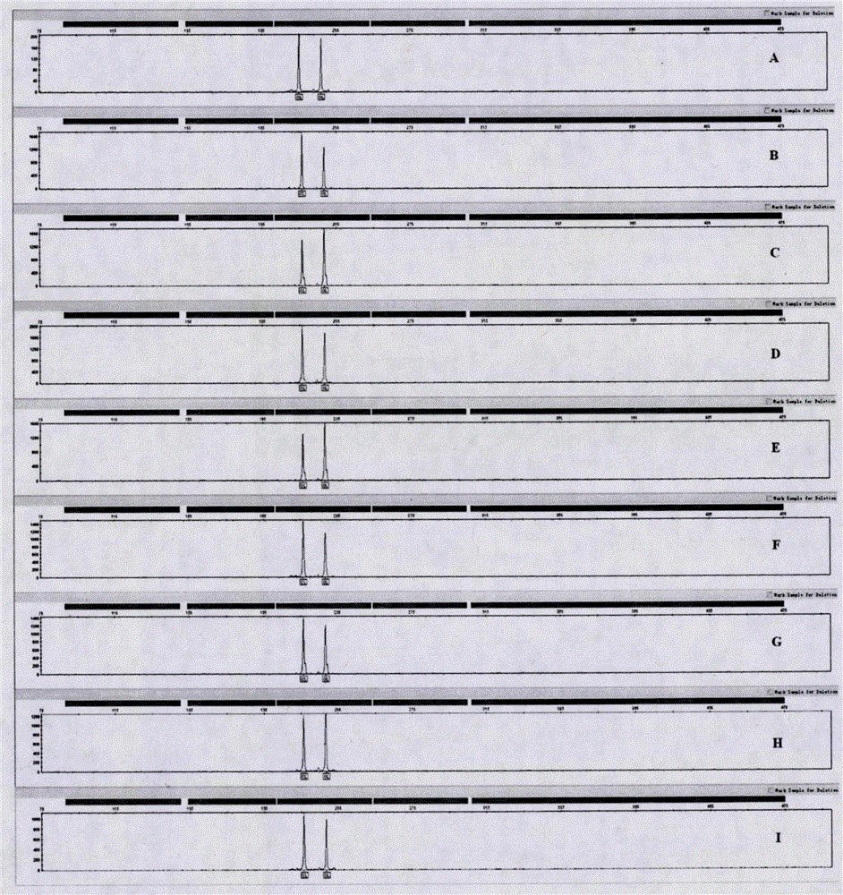 Multiple amplification detection kit for 21 short tandem repeat sequences using novel bifluorescence marking method