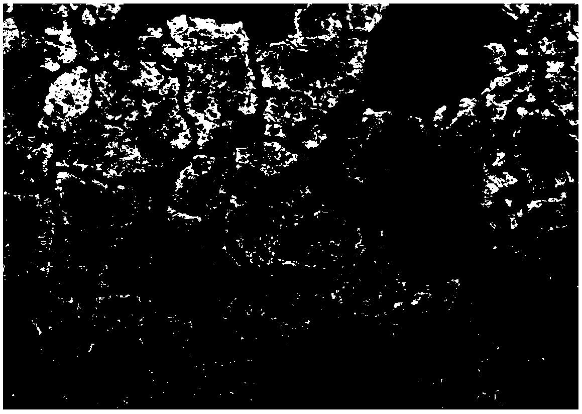 A method for displaying the grain boundaries of prior austenite in medium-manganese steel for automobiles