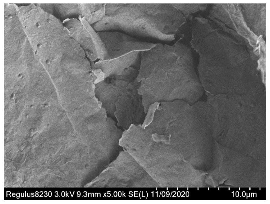 Composite wave-absorbing material with rare earth element-doped magnetic particles loaded on layered MXene