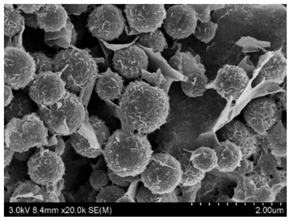 Composite wave-absorbing material with rare earth element-doped magnetic particles loaded on layered MXene