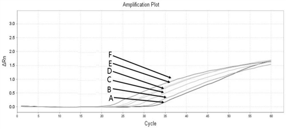 Primer set, kit and method for detecting braf gene mutation