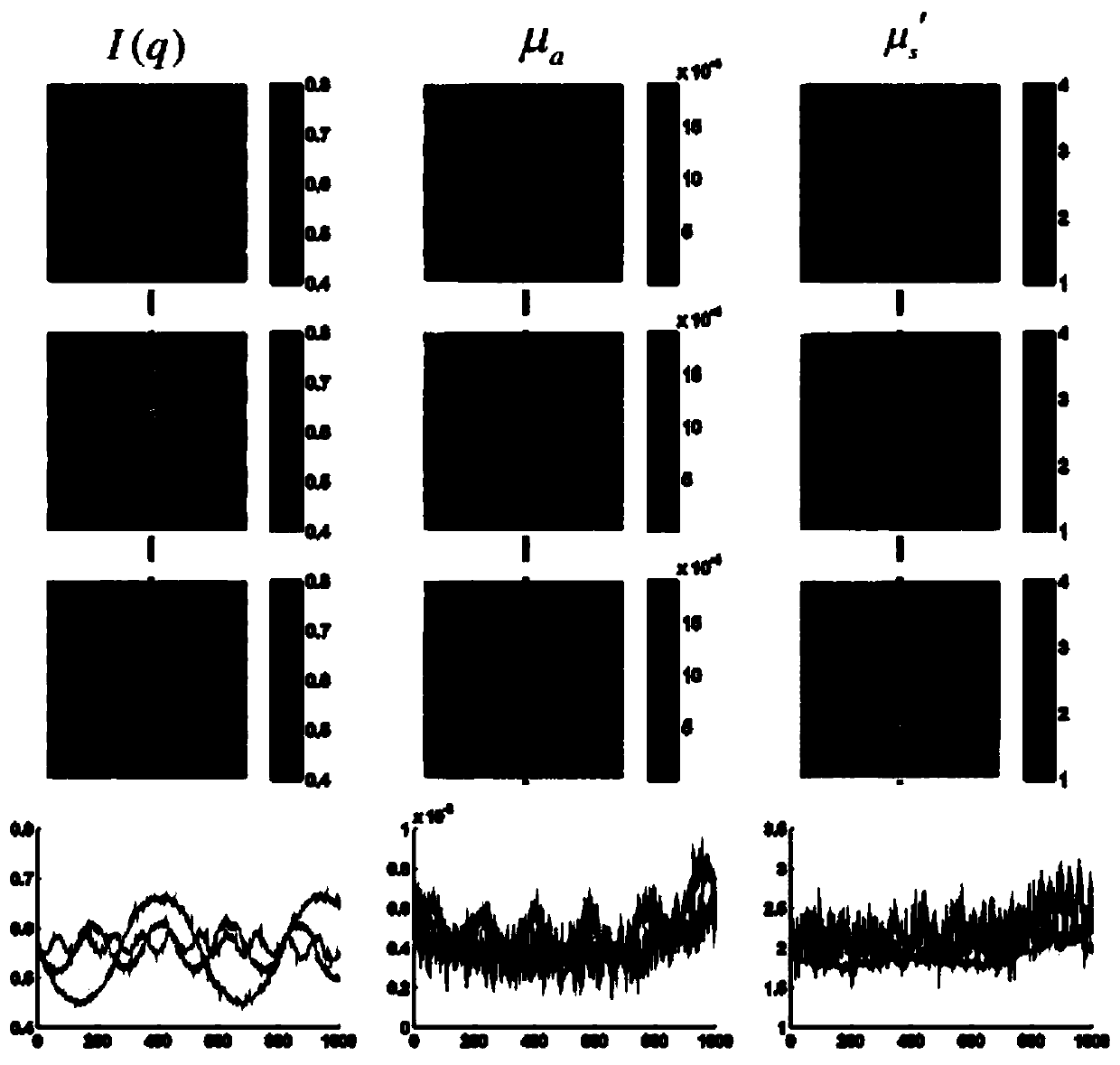 A rapid nondestructive tissue biopsy method and technique based on spatial frequency domain modulation for large-area analytical microstructure