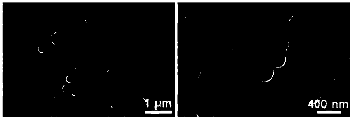 Nitrogen-doped hollow spherical carbon-coated sulfur positive electrode material as well as preparation method and application thereof