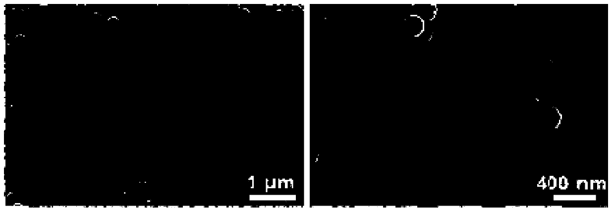 Nitrogen-doped hollow spherical carbon-coated sulfur positive electrode material as well as preparation method and application thereof