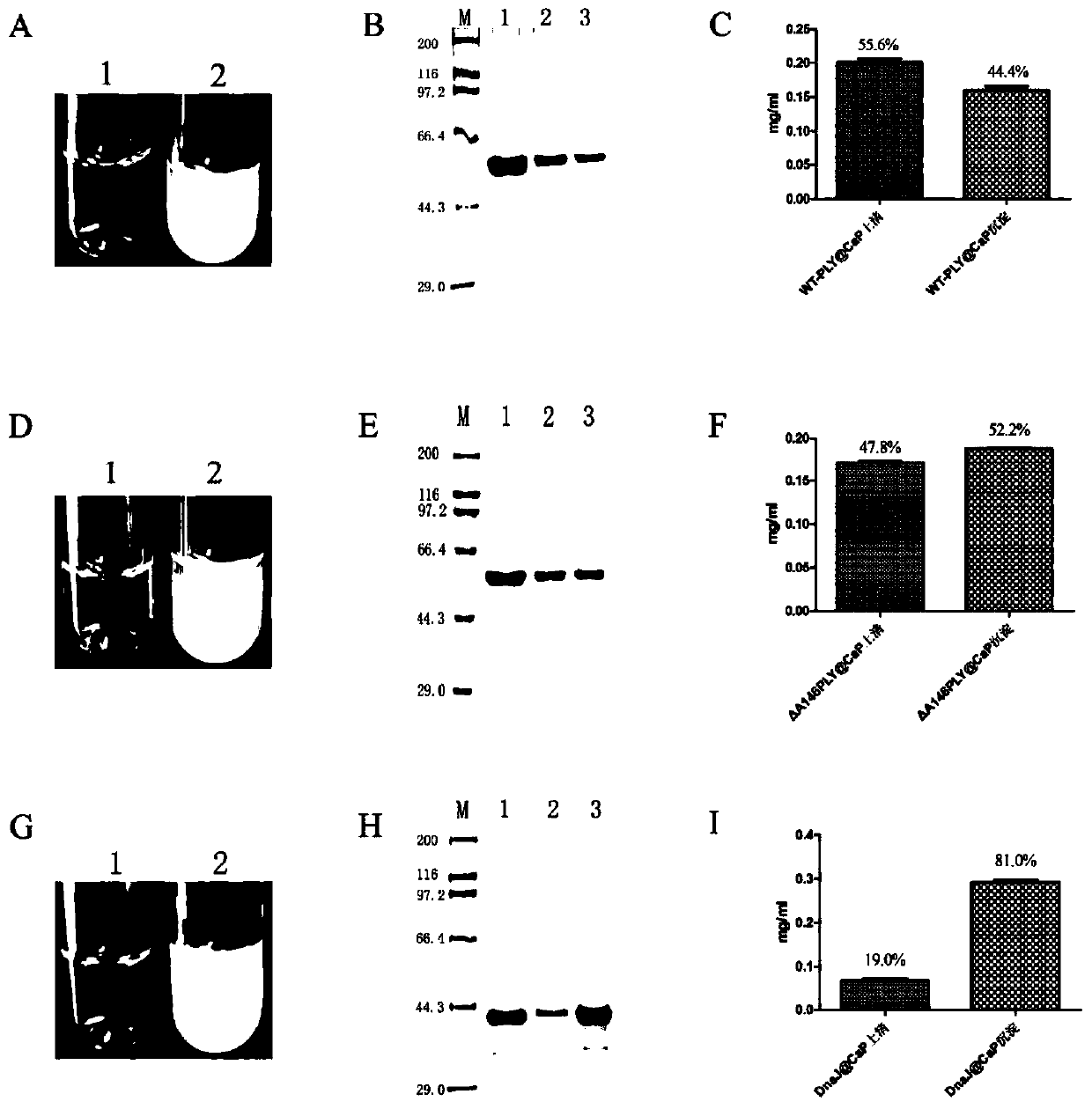 Method for preparing thermal stability vaccine based on calcium phosphate mineralization