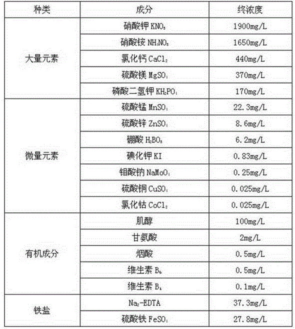 Proliferation medium for increasing saffron crocus bud proliferation rate