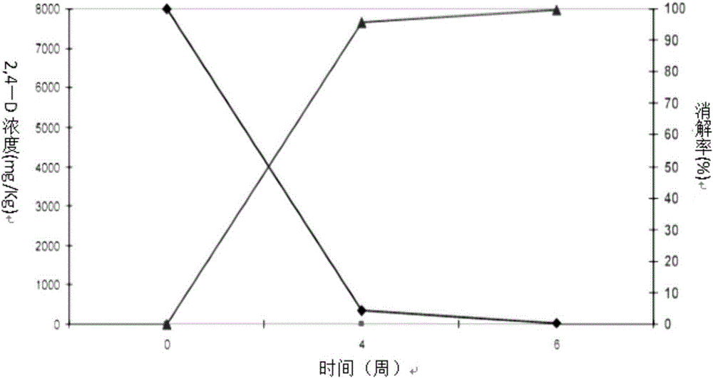 Composite microbial flora and enzyme product thereof, and method of applying composite microbial flora and enzyme product thereof in soil restoration