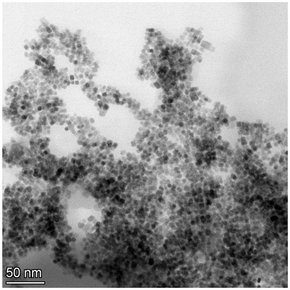 Novel rare earth nano-composite cleaning antibacterial antifogging agent as well as preparation method and application thereof