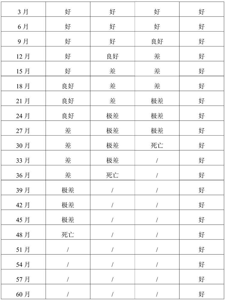 Composition capable of preserving ganoderma leucocontextum strains as well as preparation method and inoculation method of composition