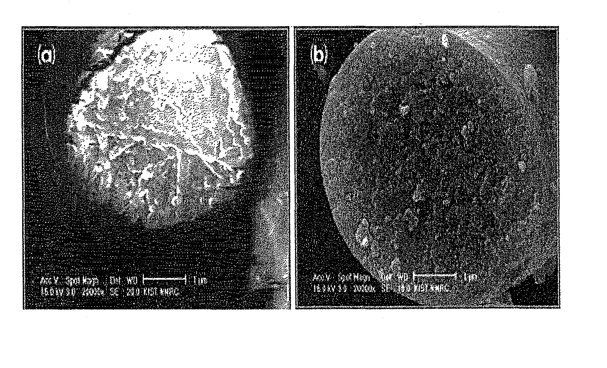 Sealing composite for flat solid oxide fuel cell stack having high fracture resistance and the fabrication method thereof