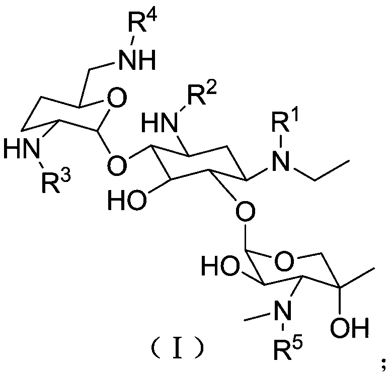 Etilmicin derivative and preparation method thereof, pharmaceutical composition and application thereof