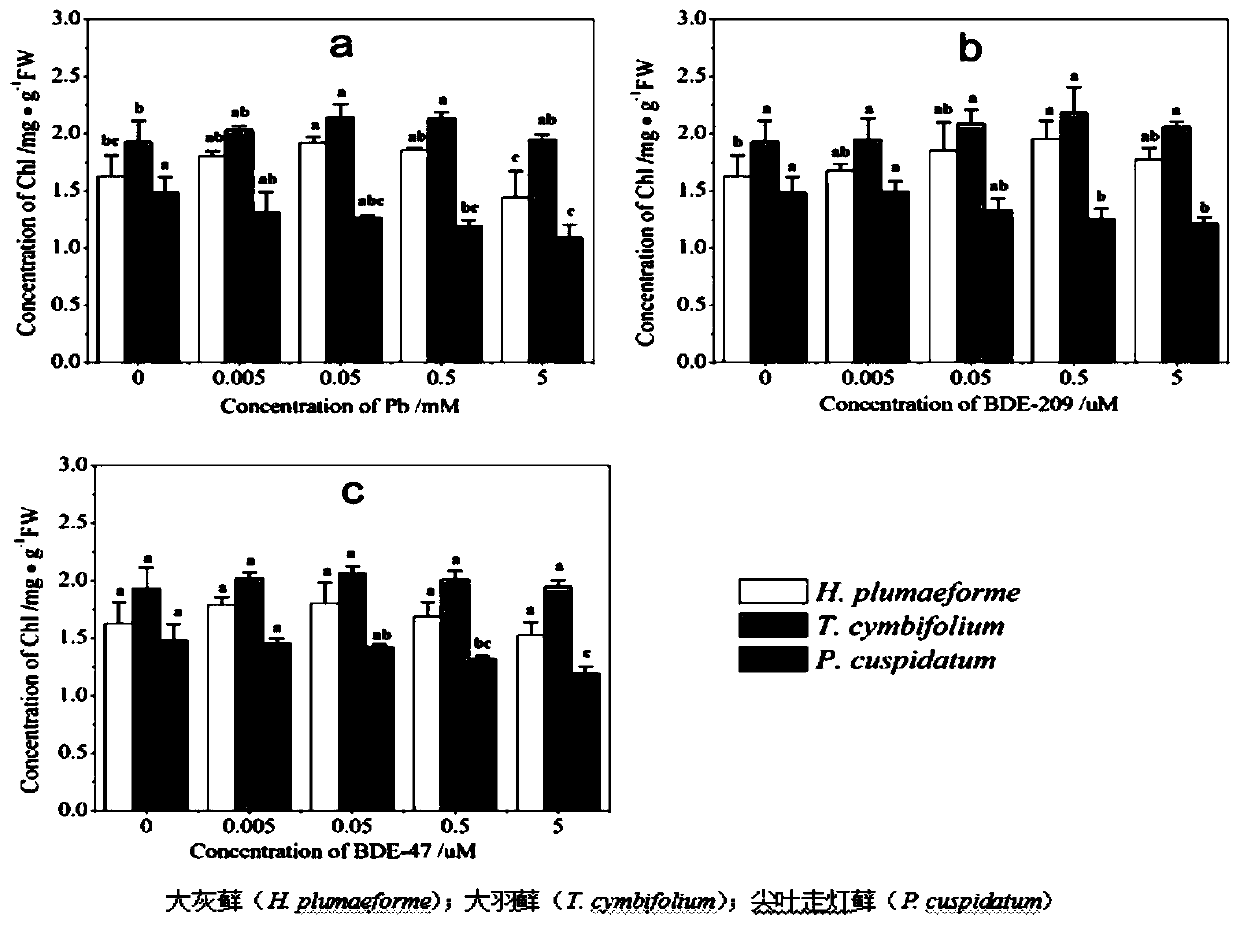 Determination of Physiology and Biochemistry of Mosses Polluted by Polybrominated Diphenyl Ethers and Heavy Metals