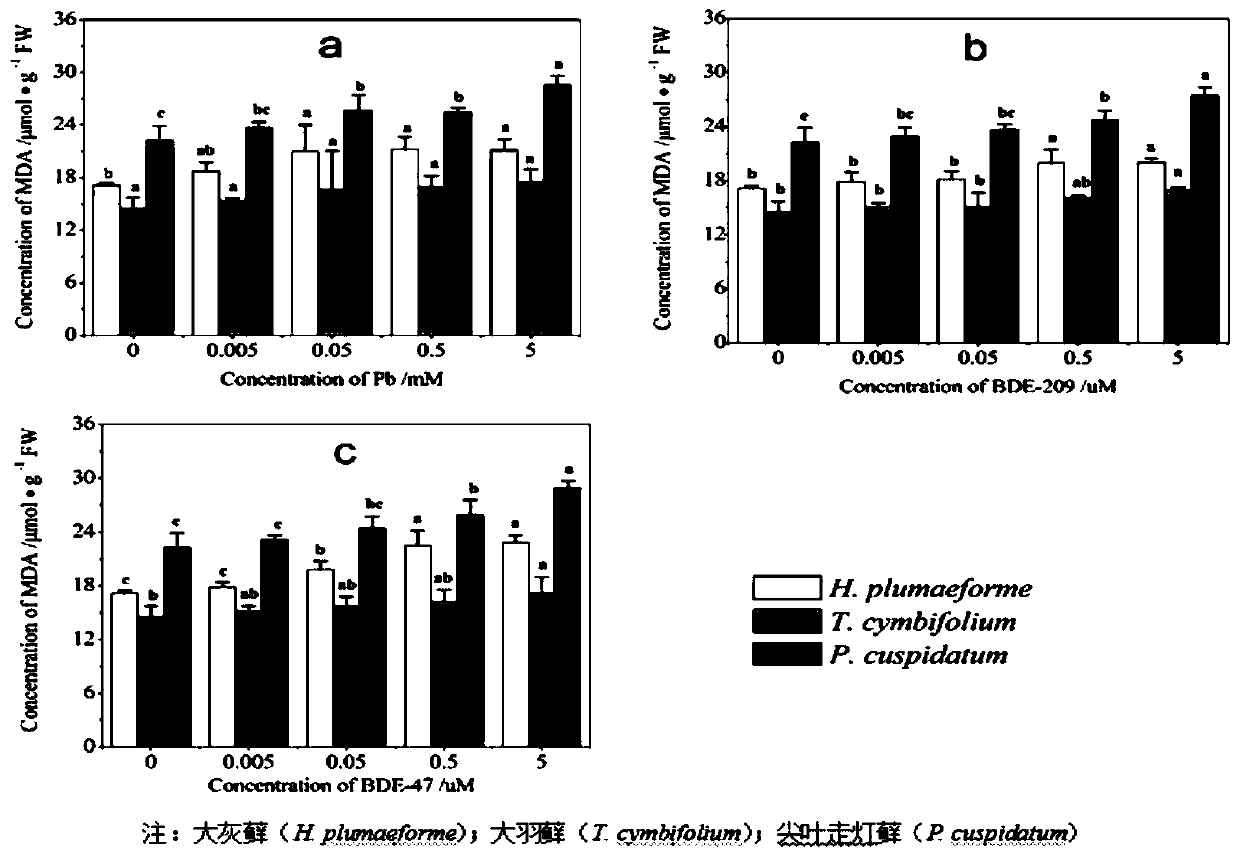 Determination of Physiology and Biochemistry of Mosses Polluted by Polybrominated Diphenyl Ethers and Heavy Metals