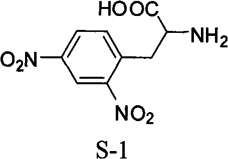 Method for synthesizing L-2,4-dinitrophenylalanine