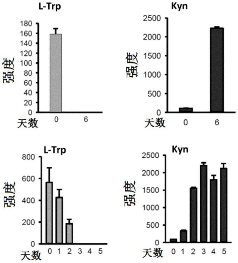 Isotopic methods for the measurement of tryptophan and its metabolites