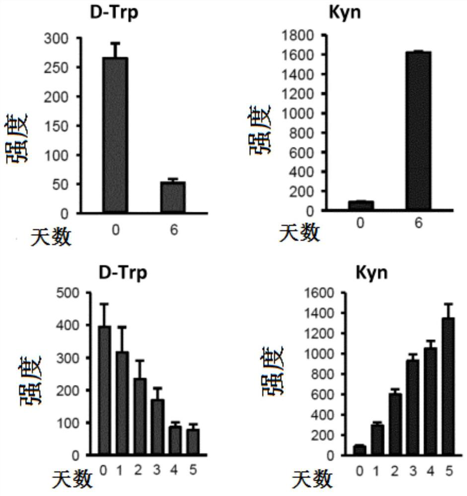 Isotopic methods for the measurement of tryptophan and its metabolites