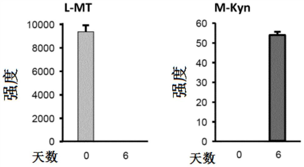 Isotopic methods for the measurement of tryptophan and its metabolites