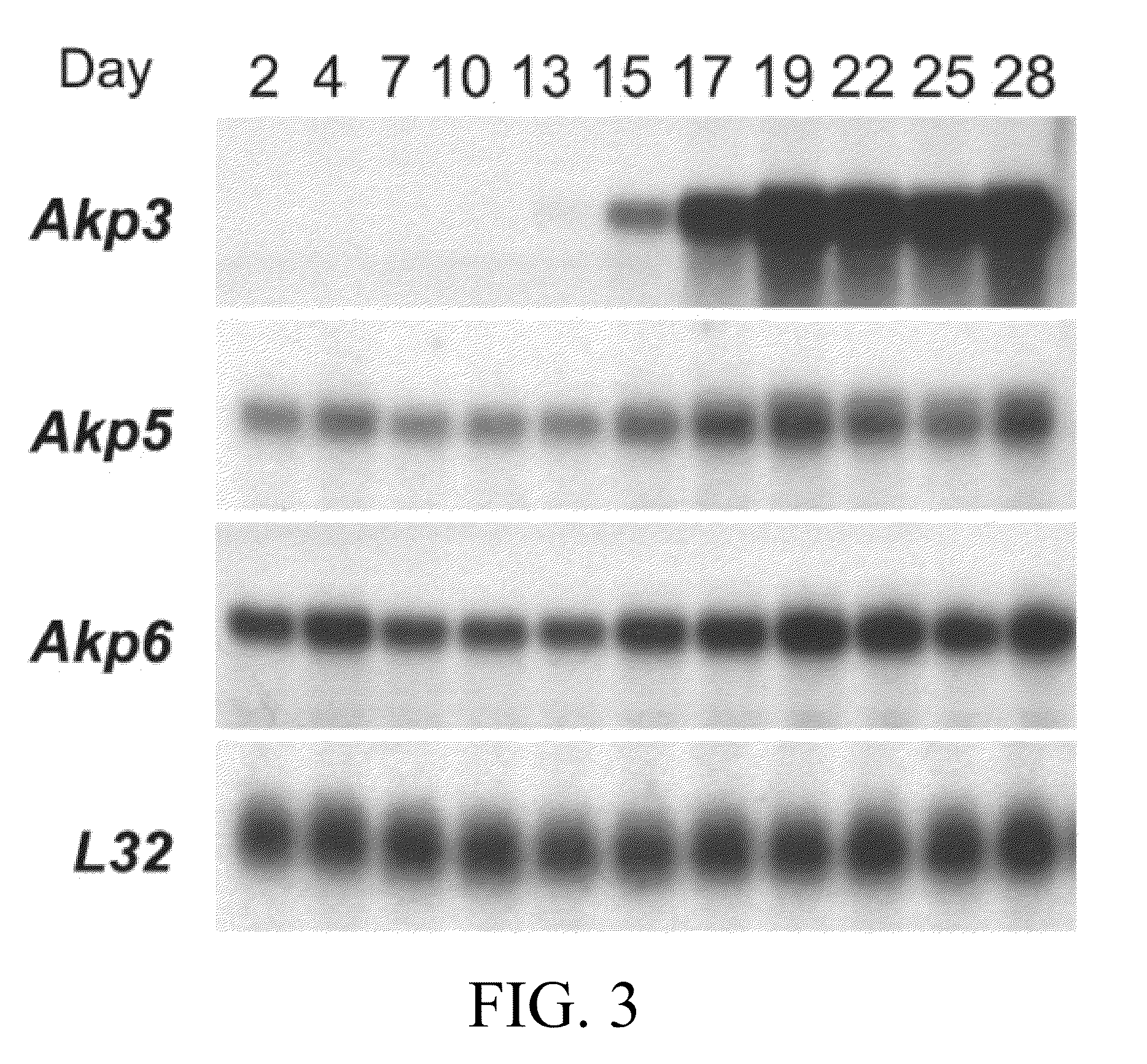 Intestinal alkaline phosphatase modulators and uses thereof