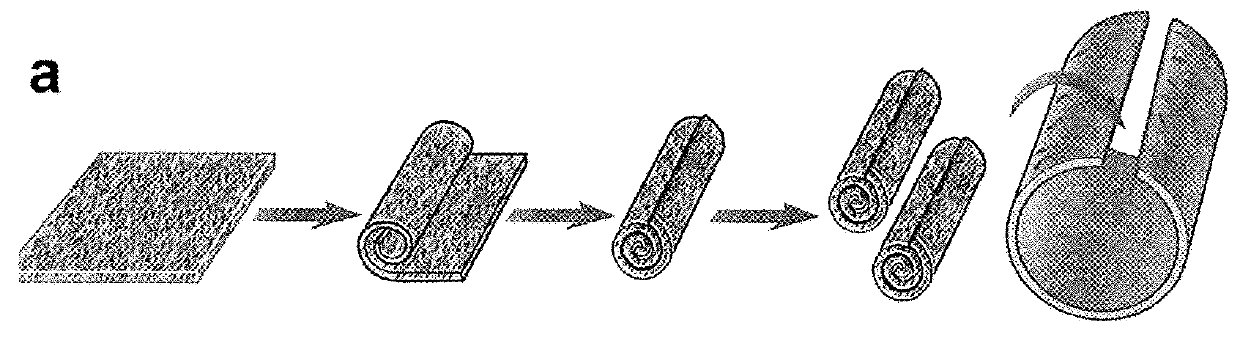 Engineered neural tissue