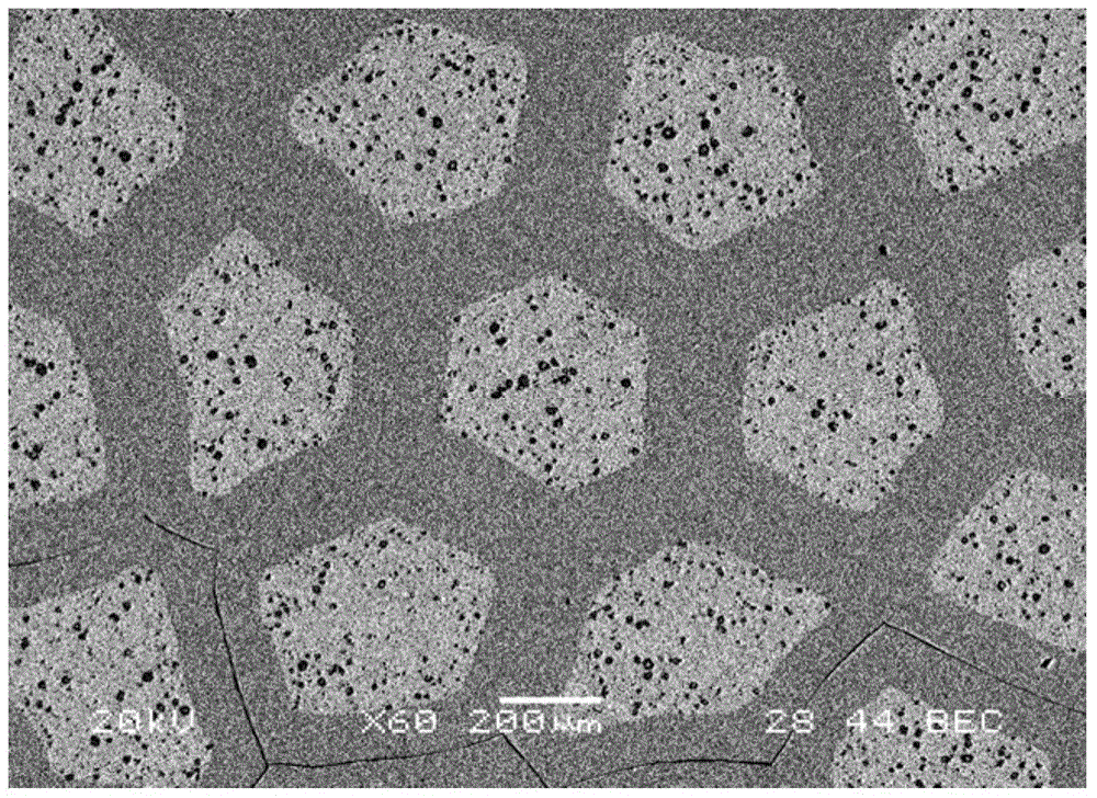 a kind of agsno  <sub>2</sub> Preparation method of multi-core composite wire