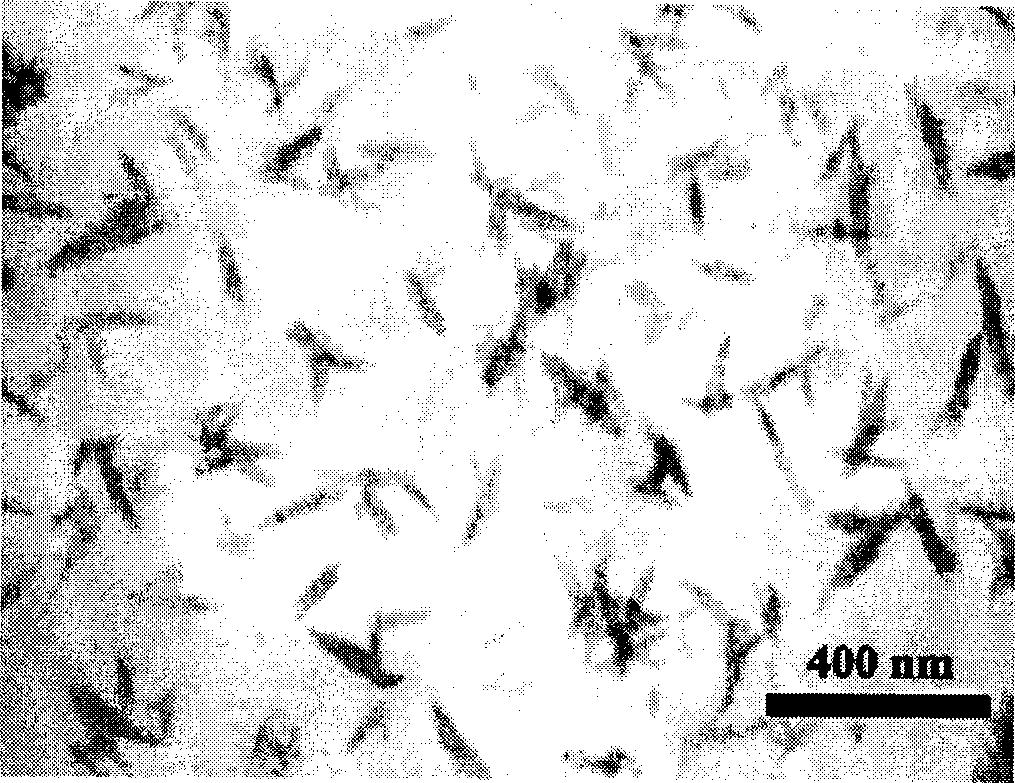 Controllable slow-releasing nano hydroxyapatite with efficient absorption for antalzyme and preparation method thereof