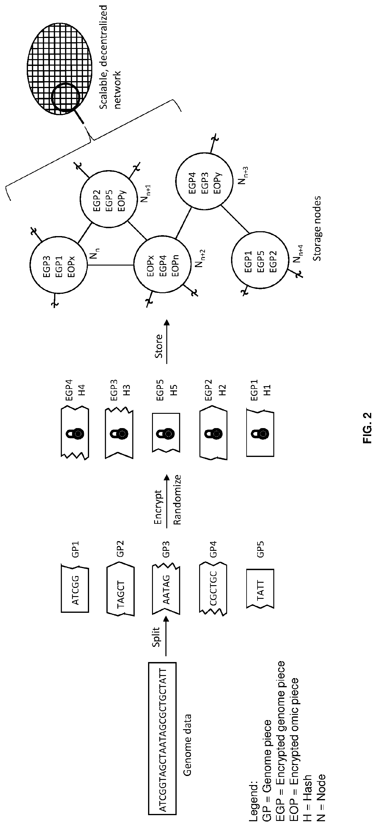 Methods for decentralized genome storage, distribution, marketing and analysis