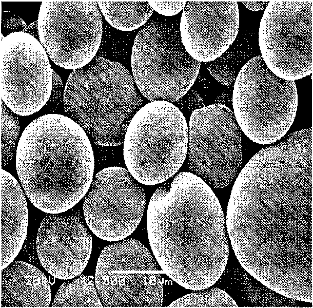 Method for preparing octenylsuccinate potato starch ester