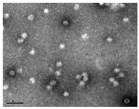 Method for purifying type 71 enterovirus