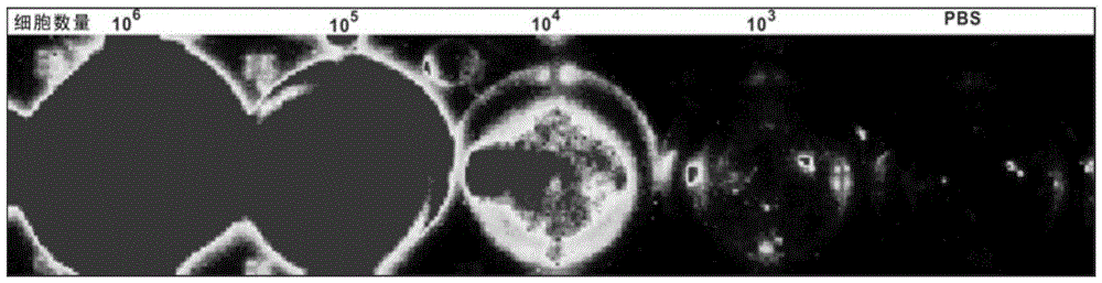 Method capable of promoting migration of dendritic cells to lymph nodes and achieving multi-mode imaging simultaneously