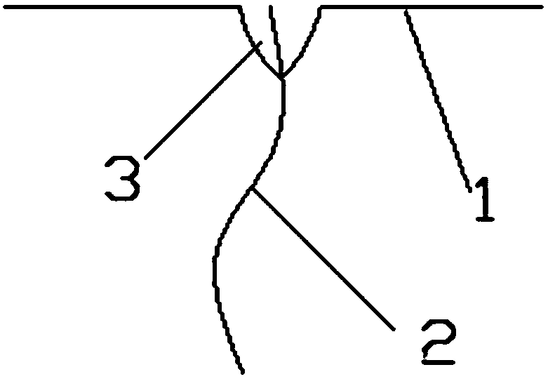 Wall body structure seepage treatment method