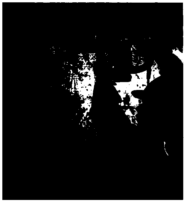 Wall body structure seepage treatment method