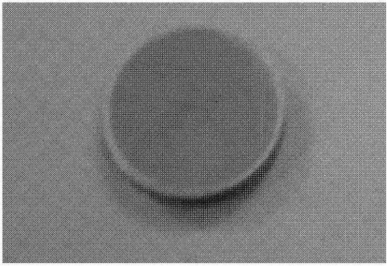 Hydrogen sensitive material for optical fiber hydrogen sensor and preparation method of hydrogen sensitive material