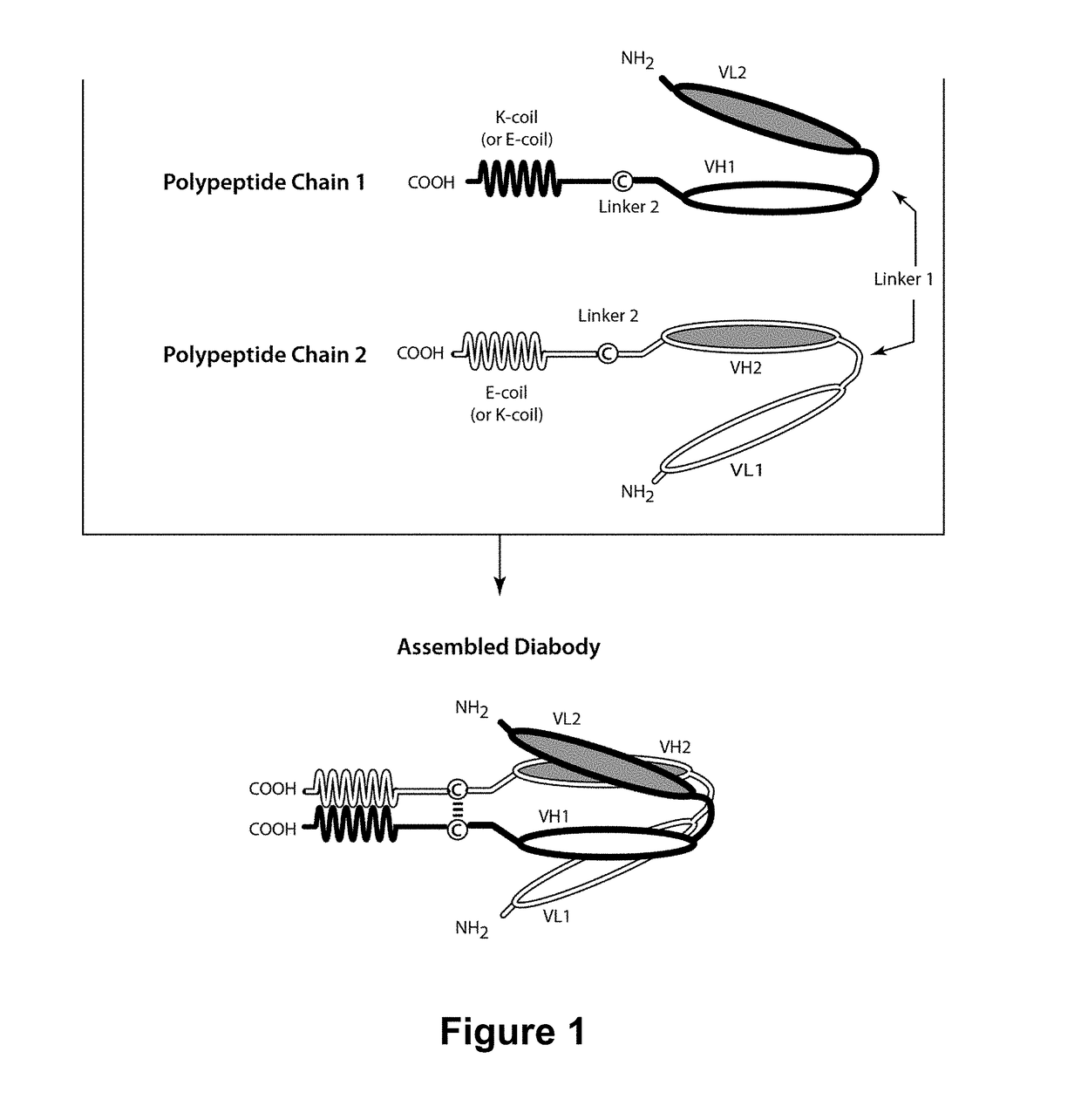 ROR1-Binding Molecules, and Methods of Use Thereof